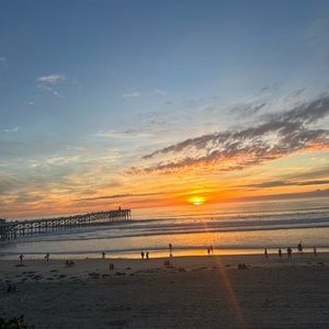 Meet your Posher, Sienna